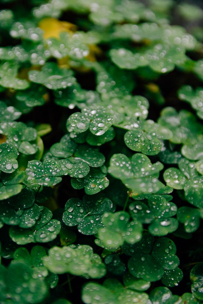 Photograph by Татьяна Гурьянова