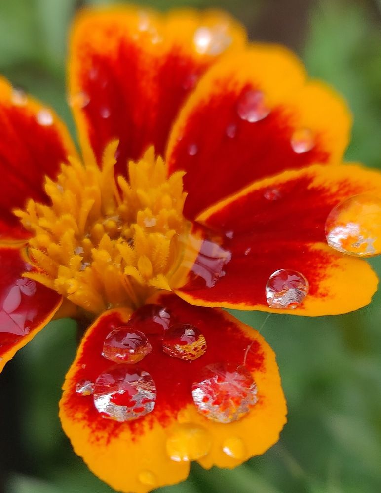 Photograph by Татьяна Гулакова