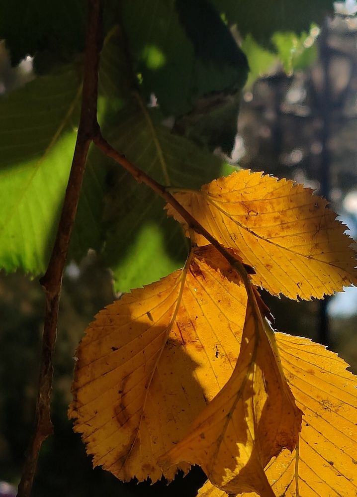 Photograph by Татьяна Гулакова