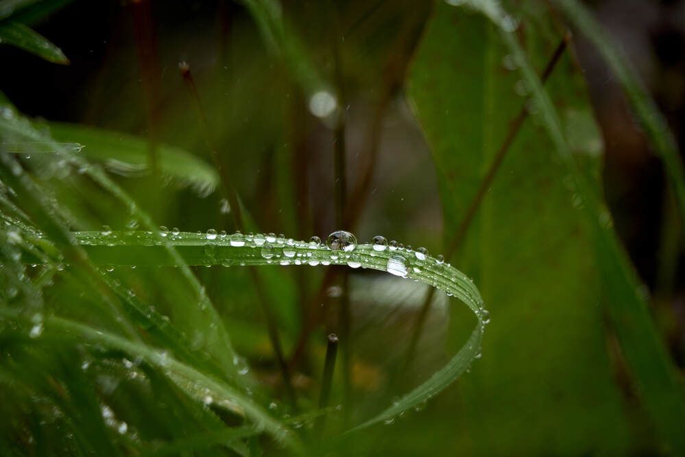 Фотография автора Dana Korolkova