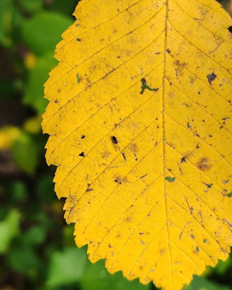 Photograph by Альбина