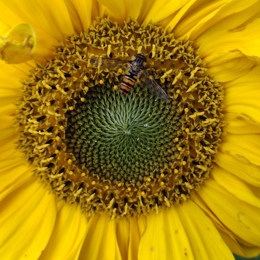 Photograph by Наталья Билай