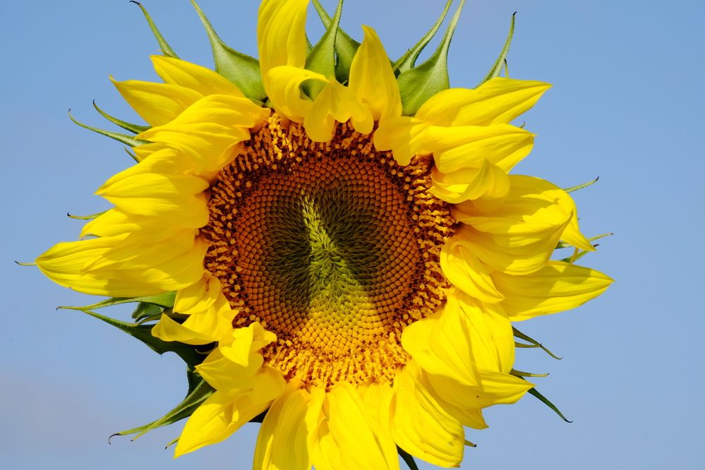 Photograph by Елена Масленникова