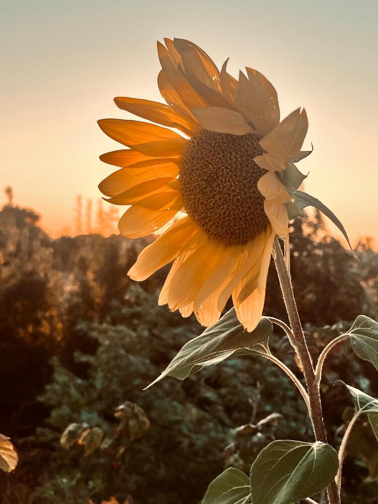 Photograph by Олеся Старицкая