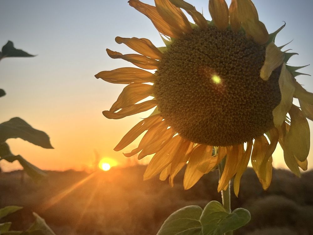 Photograph by Олеся Старицкая