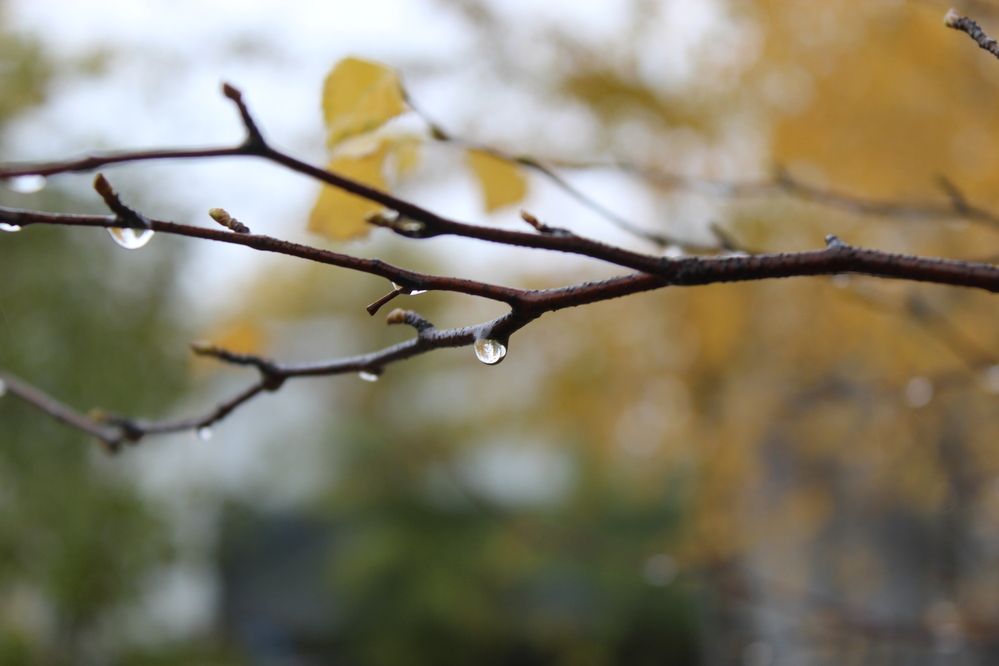 Photograph by Михаил Мархинин