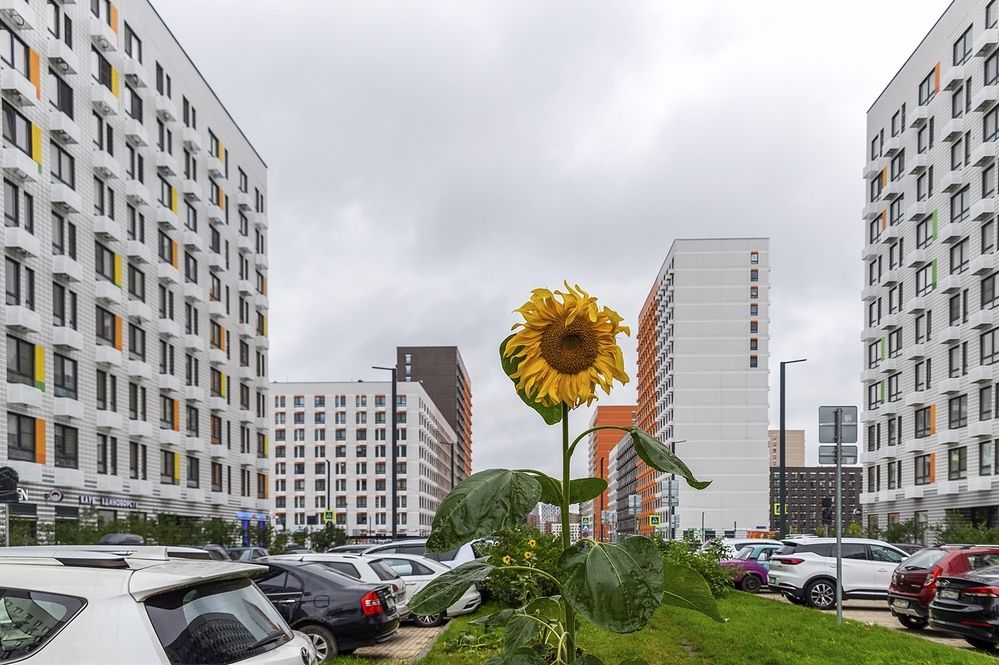 Photograph by Валерий Клейменов