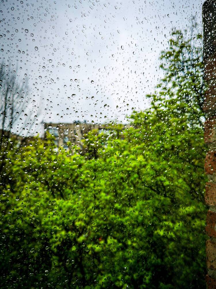 Photograph by Алексей Гуминский