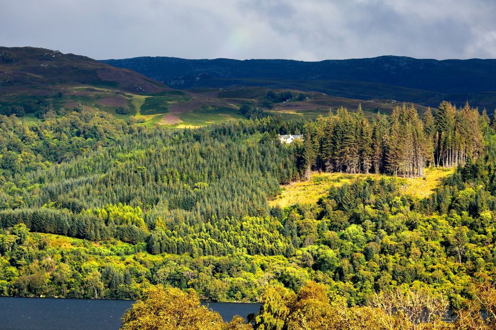 Photograph by Ernest Spiteri Gonzi