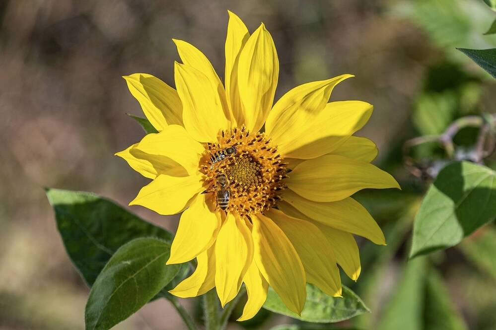 Photograph by Валерий Клейменов