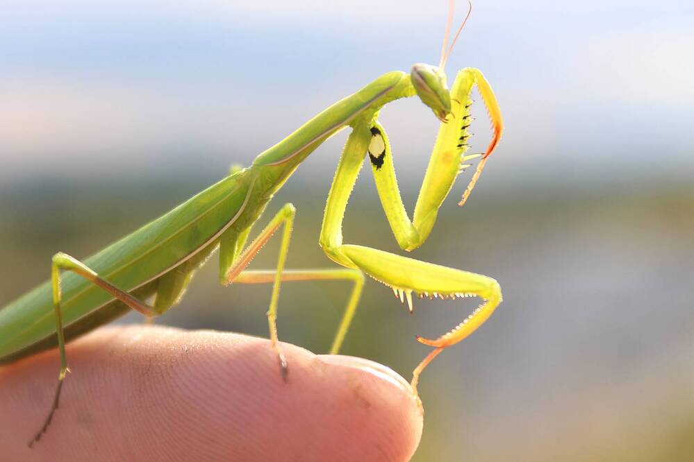 Photograph by Светлана Шубина