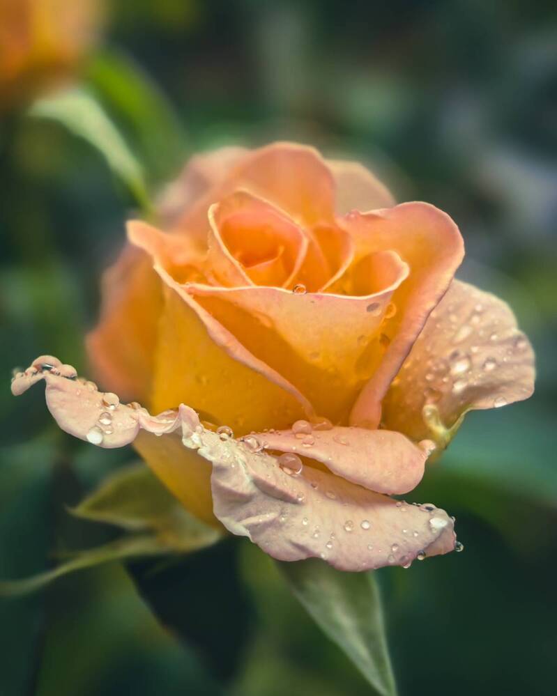 Photograph by Алексей Гуминский