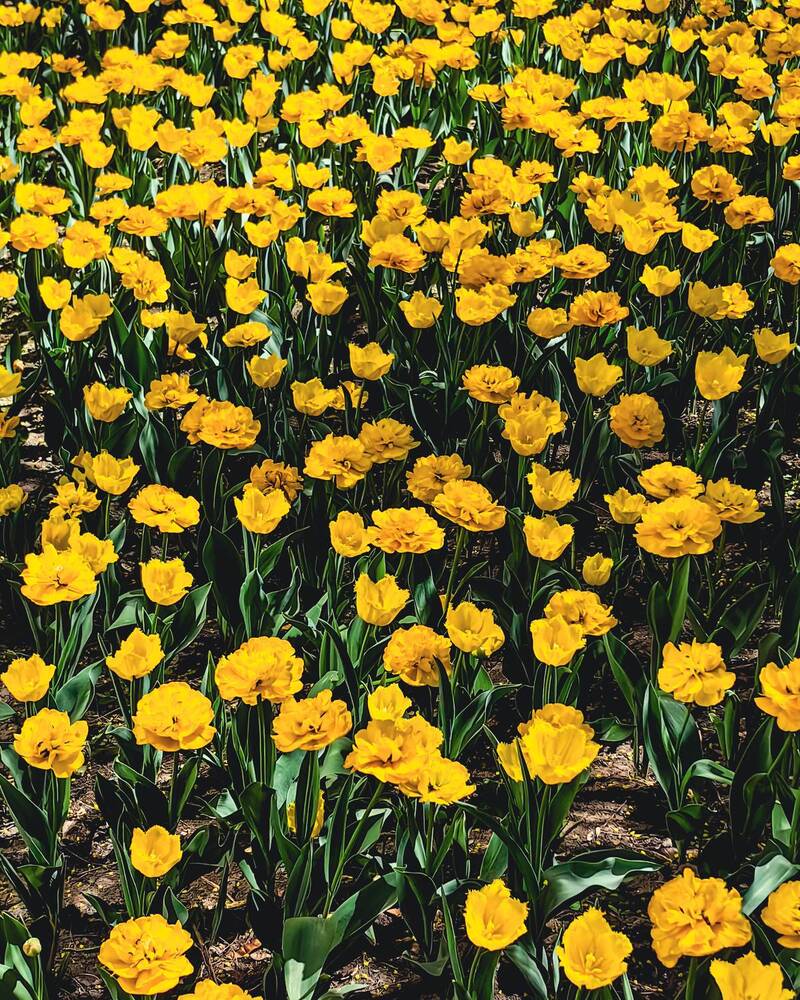 Photograph by Алексей Гуминский