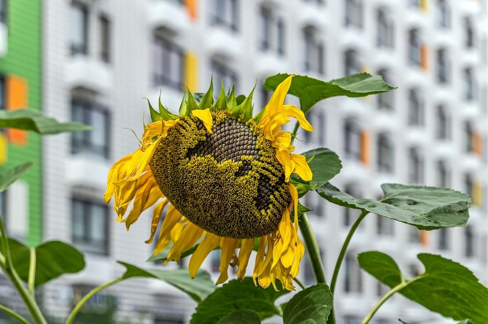 Photograph by Валерий Клейменов