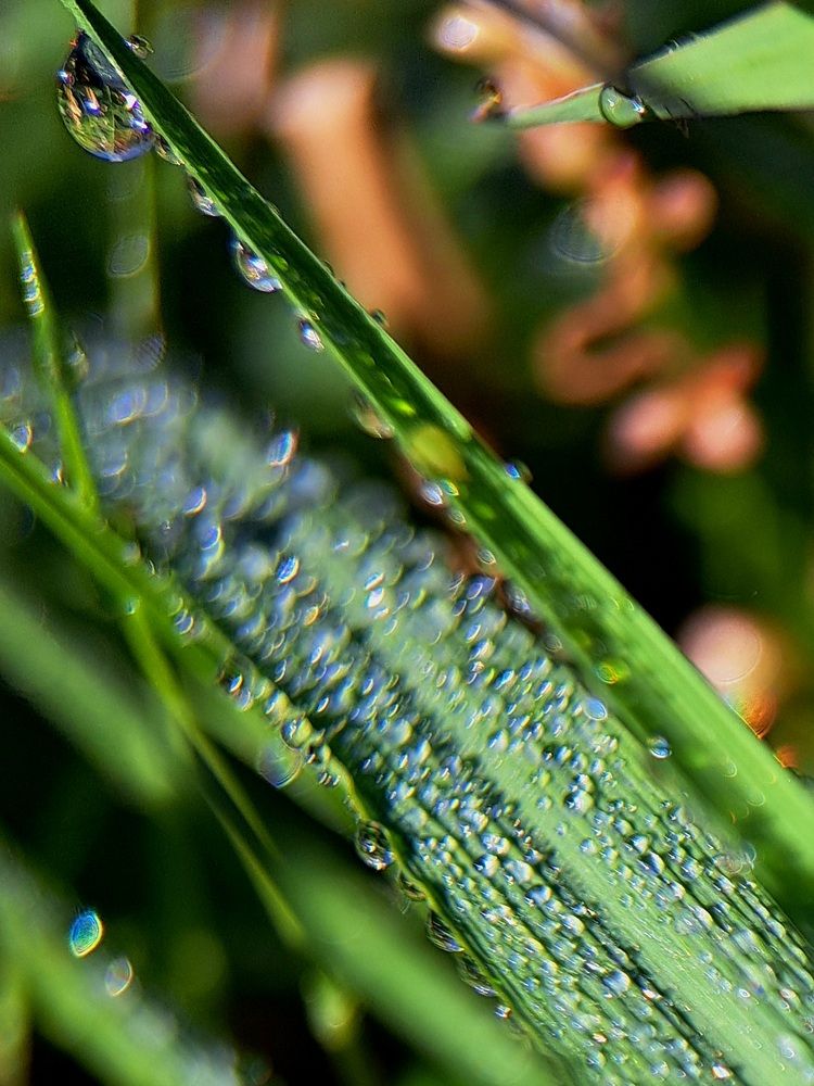 Photograph by Любовь Войтишина