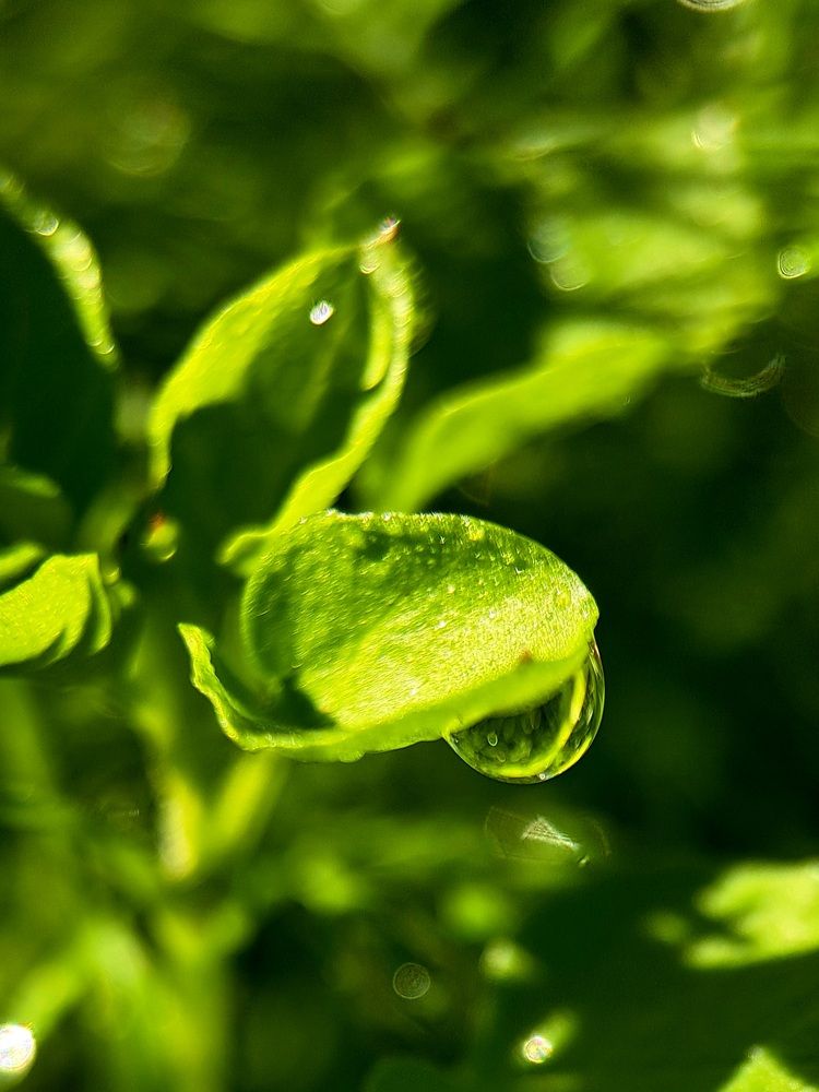 Photograph by Любовь Войтишина