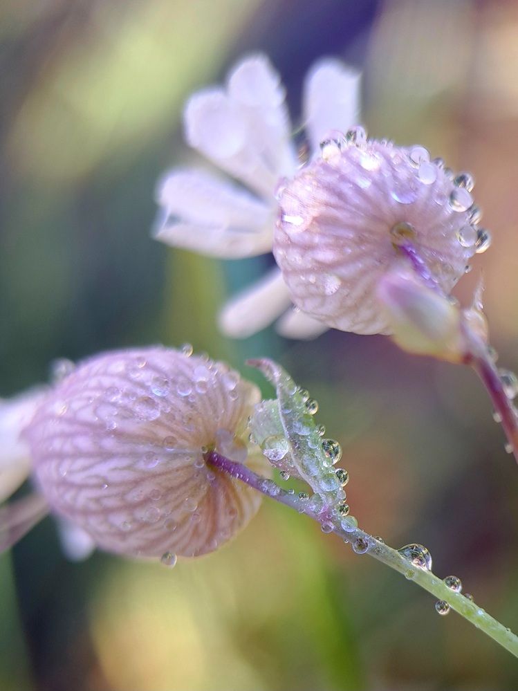 Photograph by Любовь Войтишина