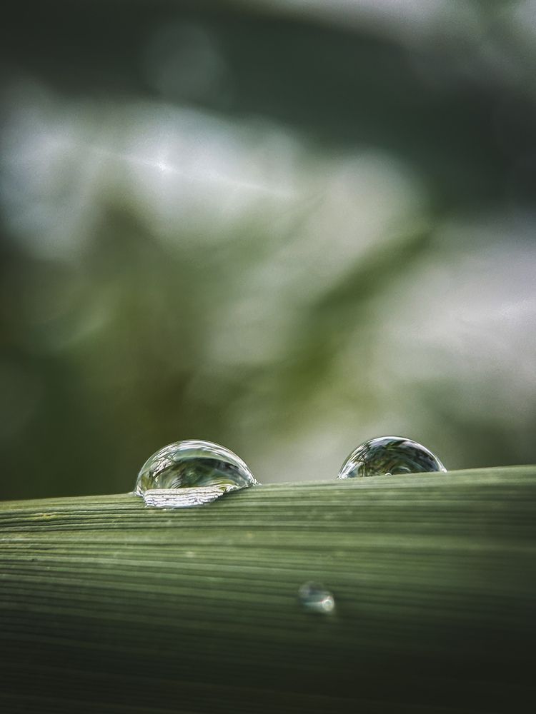 Photograph by Анна Титова