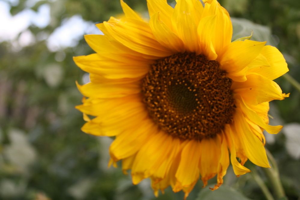 Photograph by Анастасия Свиридова