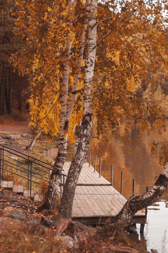 Photograph by Вадим Басов