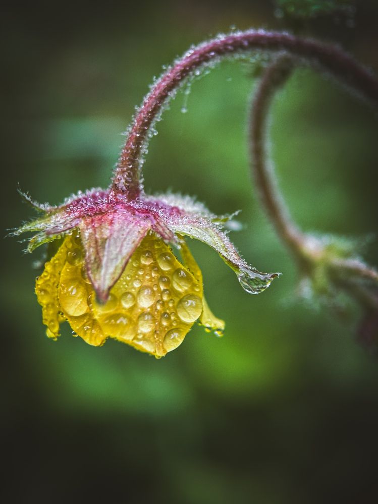 Photograph by Анна Титова