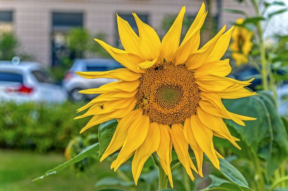 Photograph by Валерий Клейменов