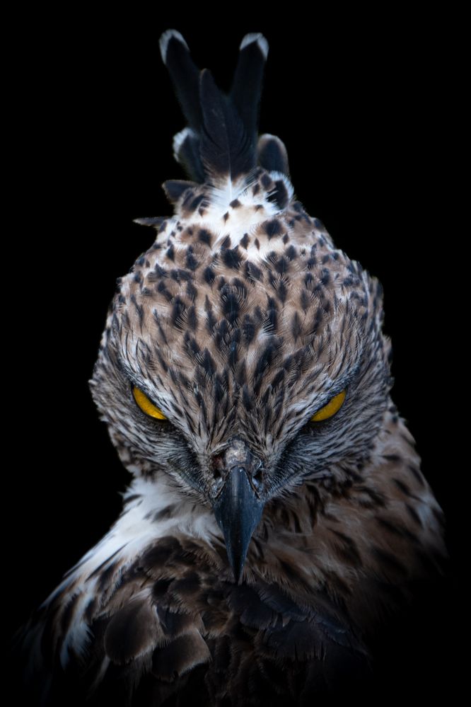 Photograph by Anton Jeirin