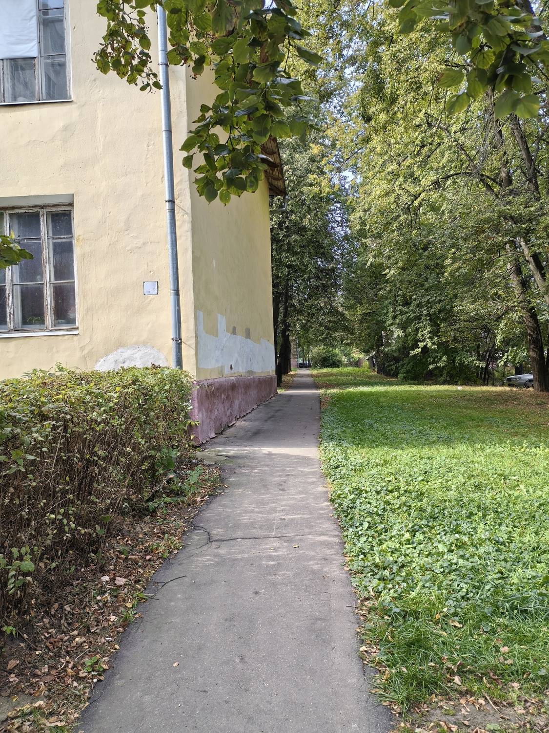 Photo #12594658