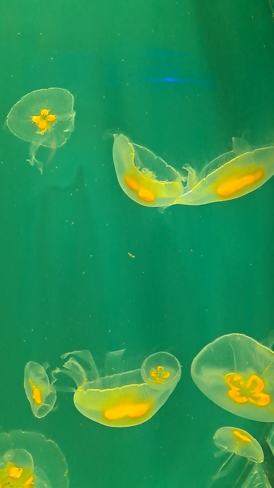 Photograph by Любовь Войтишина