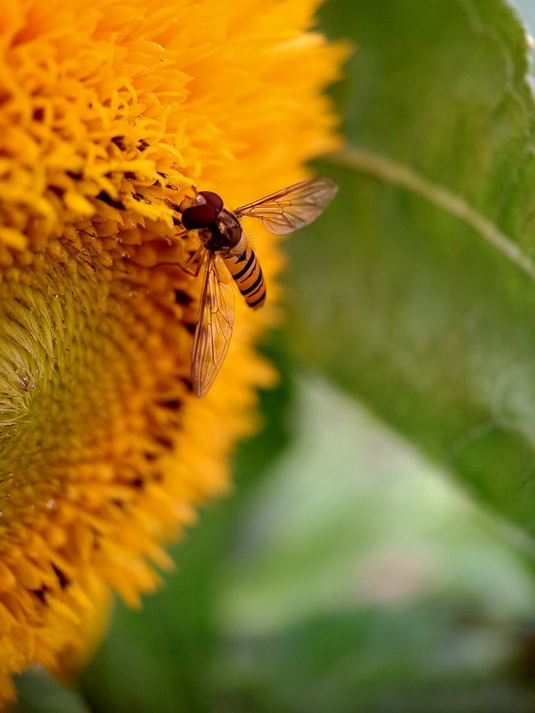 Photograph by Любовь Войтишина