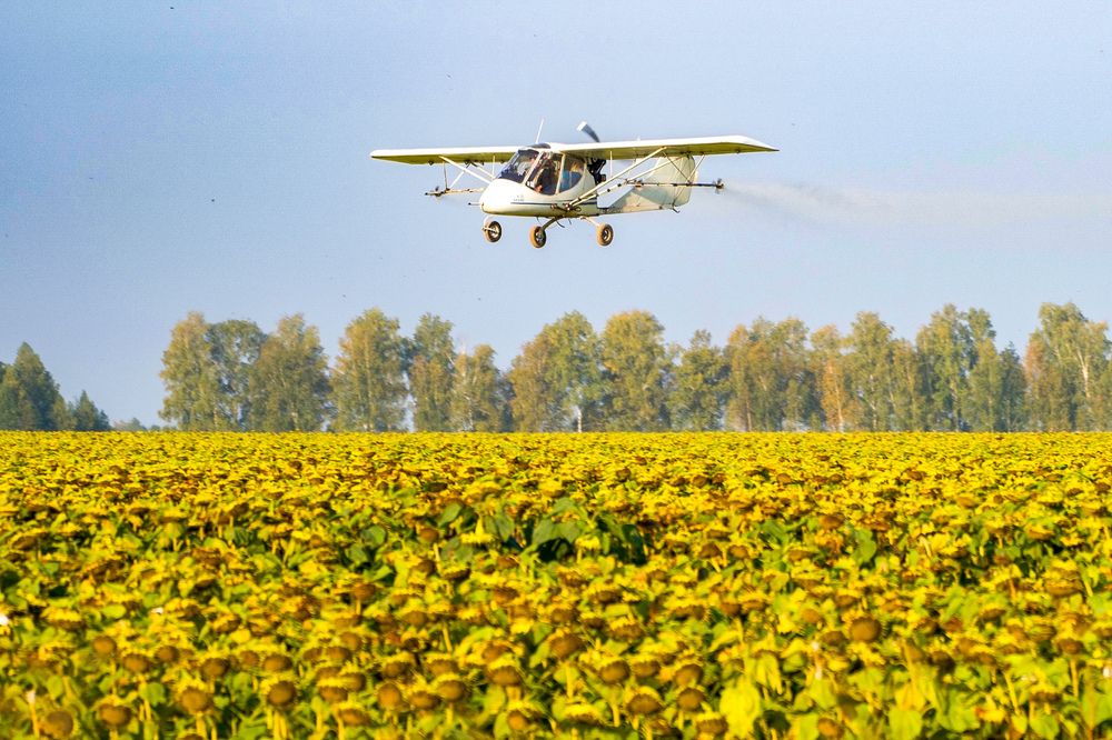 Фотография автора Viktoriya Kim