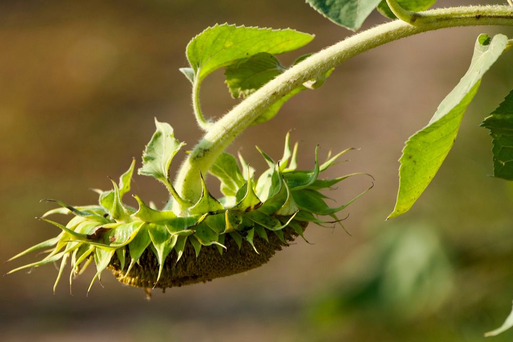 Фотография автора Viktoriya Kim