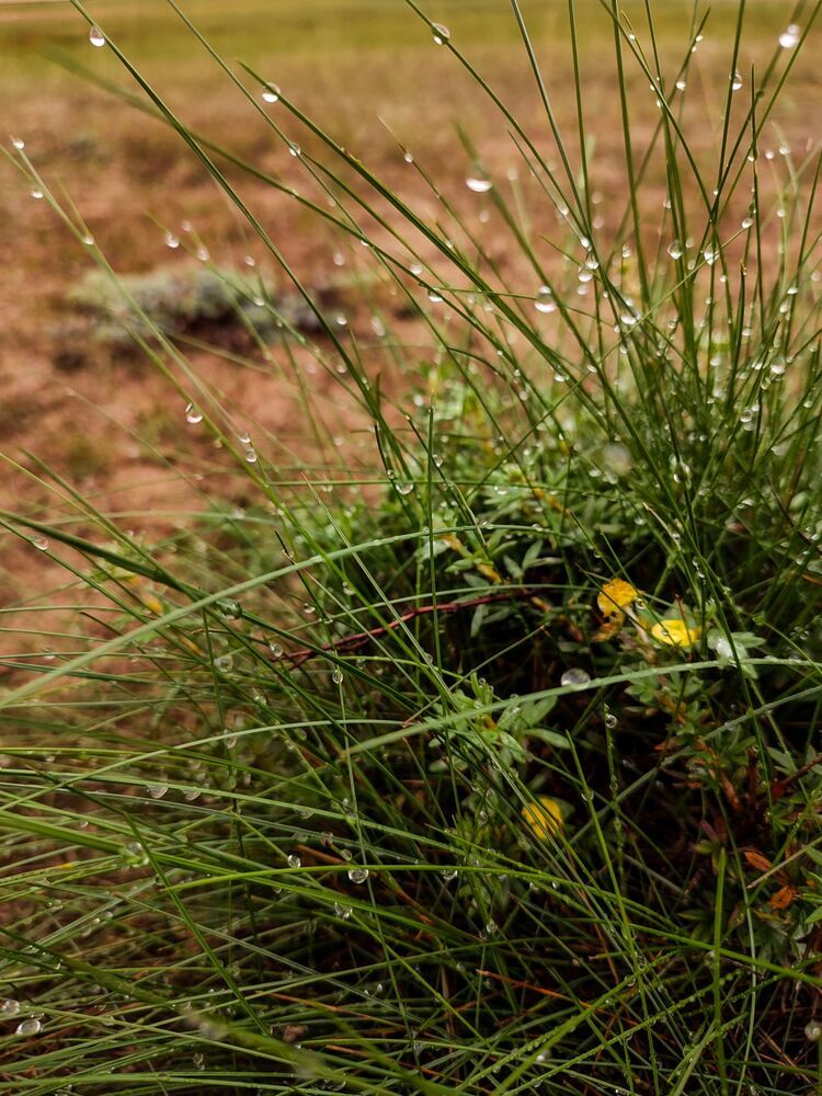 Фотография автора Оркина Ксения