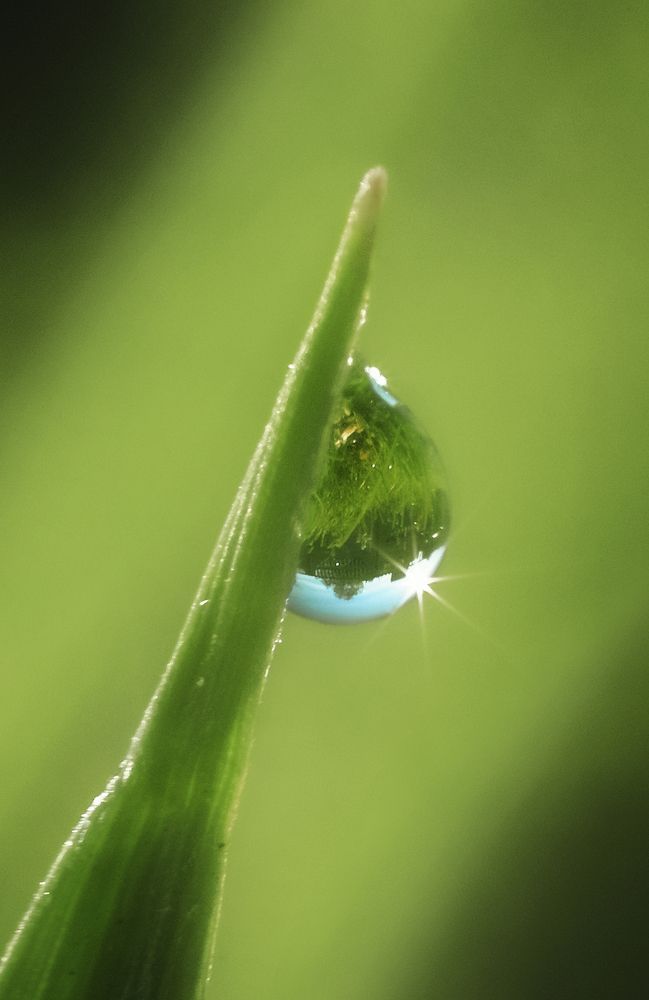 Photograph by Юлия Лушникова