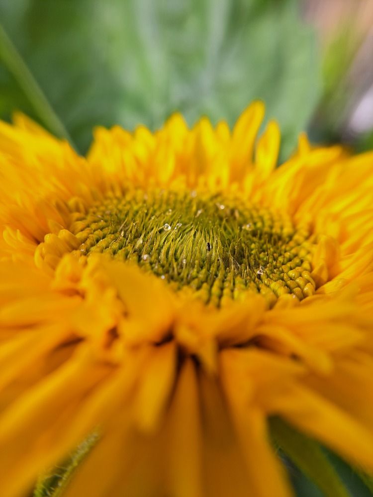 Photograph by Любовь Войтишина