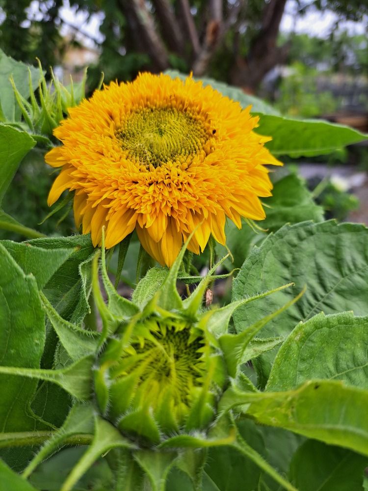 Photograph by Любовь Войтишина