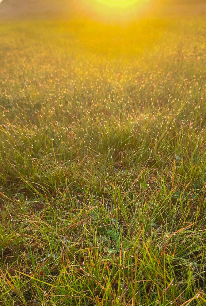 Фотография автора Оркина Ксения