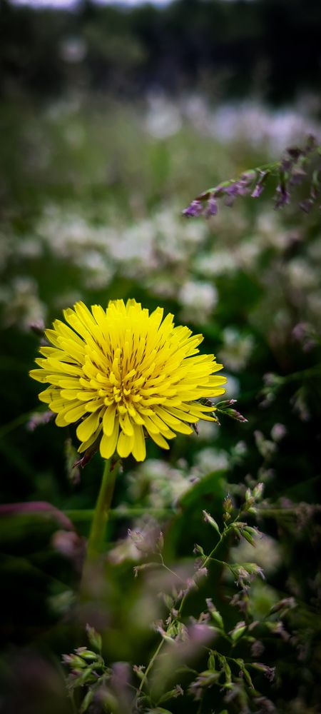 Фотография автора Оркина Ксения