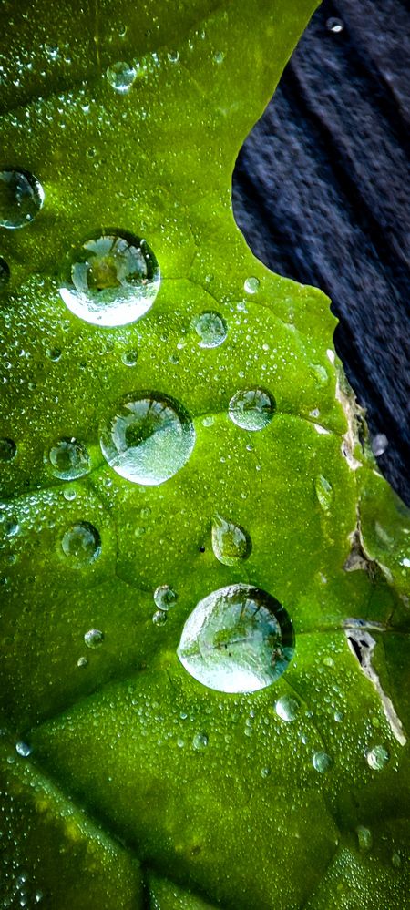 Фотография автора Оркина Ксения