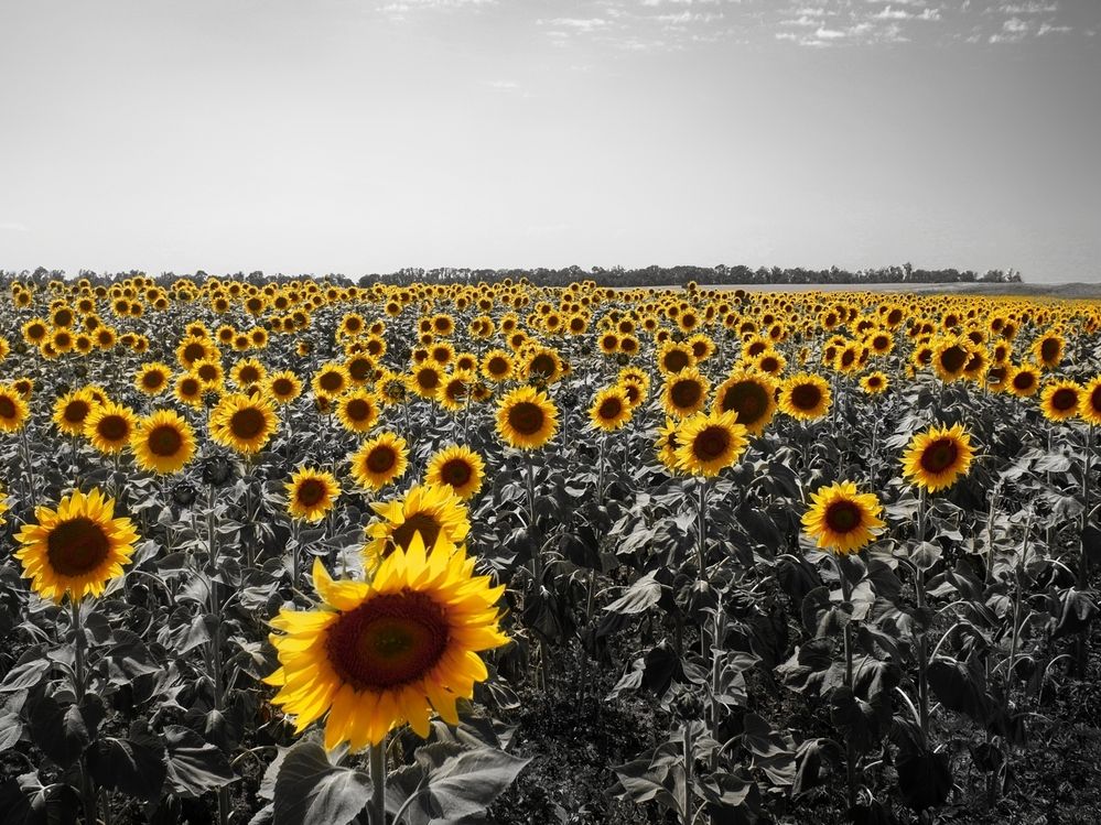 Photograph by Зорин Миша