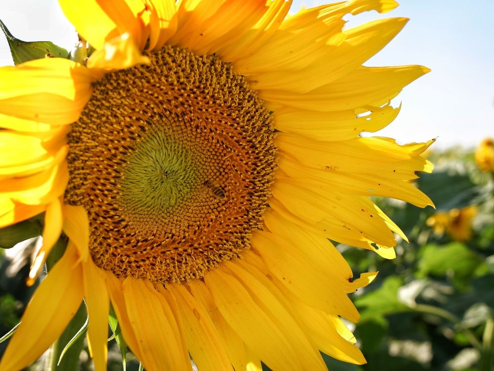 Photograph by Зорин Миша