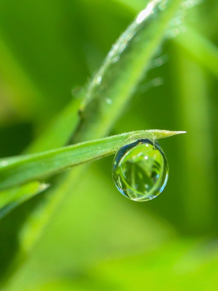 Photograph by Ирина Корабельникова