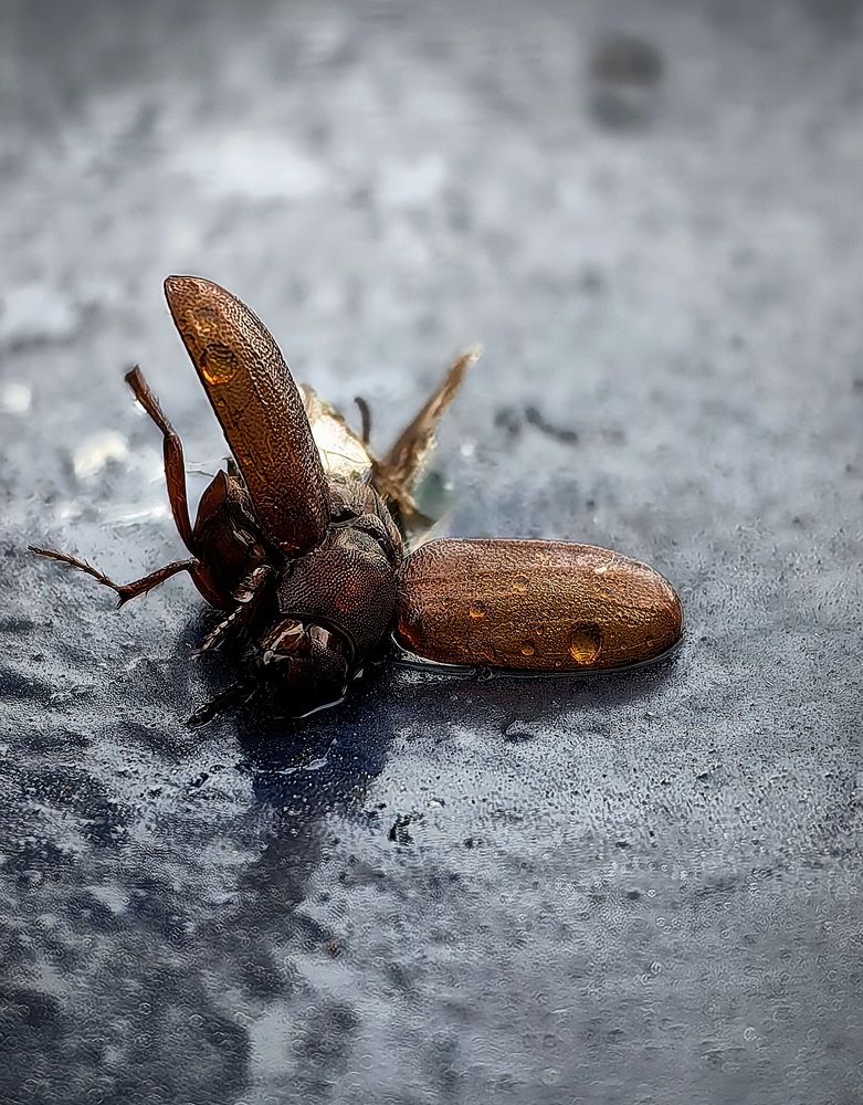 Photograph by Кристина Феминова