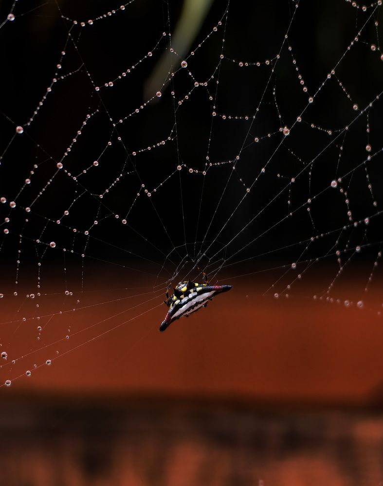 Photograph by Кристина Феминова