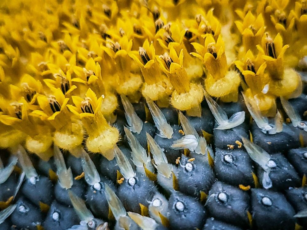 Photograph by Сергей Назаредский