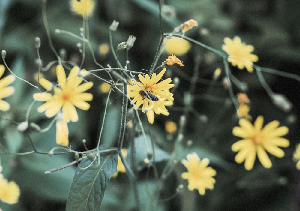 Photograph by Helena Proshkina