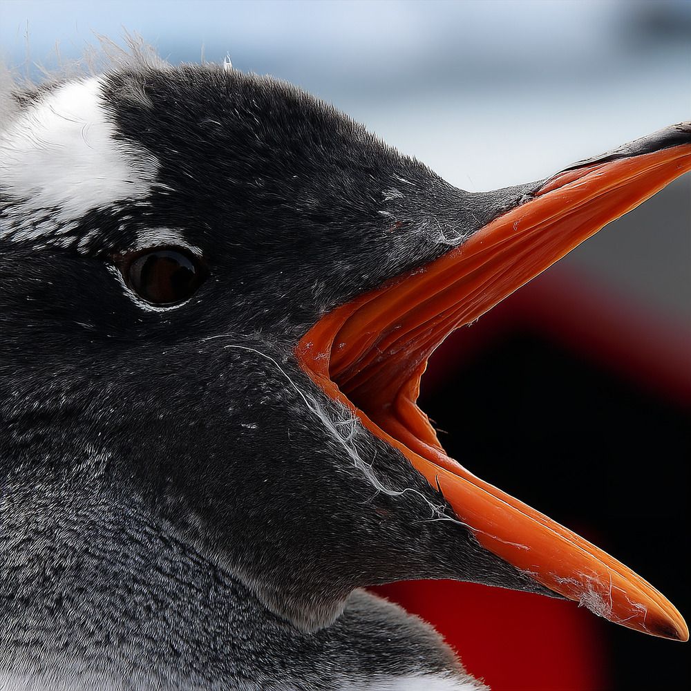 Photograph by Ivan Karavka