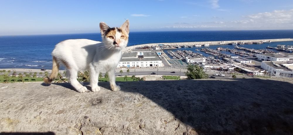 Photograph by Лариса Неудачина