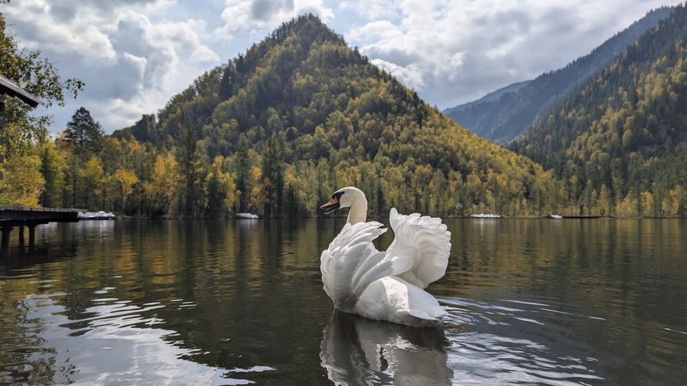 Photograph by Евгений Кузьмин