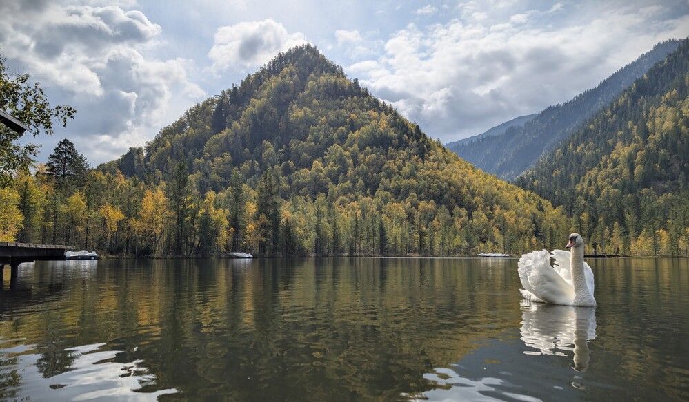 Photograph by Евгений Кузьмин